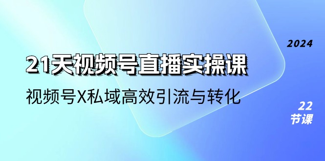 （10966期）21天-视频号直播实操课，视频号X私域高效引流与转化（22节课）-云壹网创
