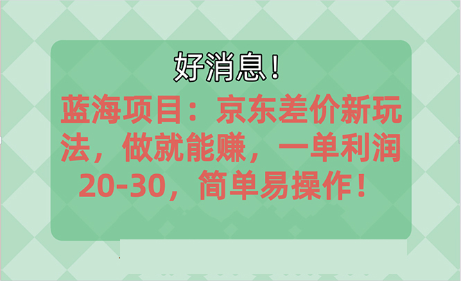 （10989期）越早知道越能赚到钱的蓝海项目：京东大平台操作，一单利润20-30，简单…-云壹网创