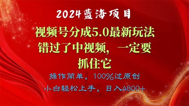 （11032期）2024蓝海项目，视频号分成计划5.0最新玩法，错过了中视频，一定要抓住…-云壹网创