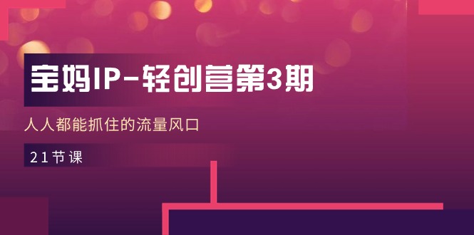 （11042期）宝妈IP-轻创营第3期，人人都能抓住的流量风口（21节课）-云壹网创