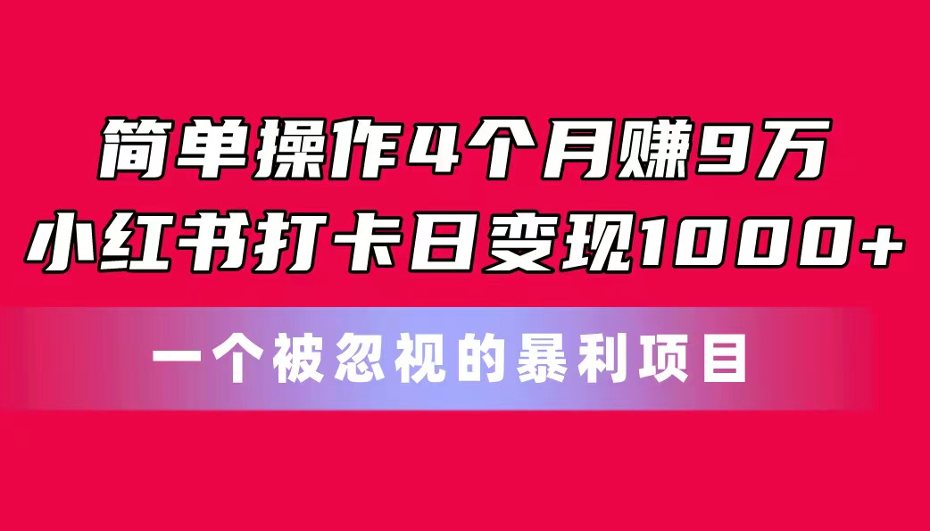 （11048期）简单操作4个月赚9万！小红书打卡日变现1000+！一个被忽视的暴力项目-云壹网创