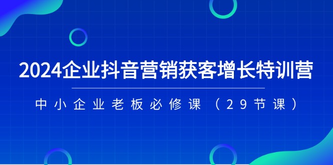 （11349期）2024企业抖音-营销获客增长特训营，中小企业老板必修课（29节课）-云壹网创
