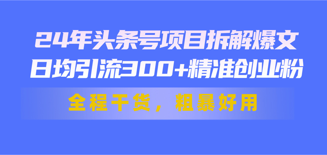 （11397期）24年头条号项目拆解爆文，日均引流300+精准创业粉，全程干货，粗暴好用-云壹网创