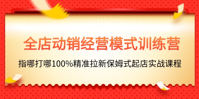 （11460期）全店动销-经营模式训练营，指哪打哪100%精准拉新保姆式起店实战课程-云壹网创