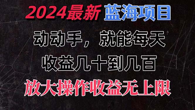 （11470期）有手就行的2024全新蓝海项目，每天1小时收益几十到几百，可放大操作收…-云壹网创