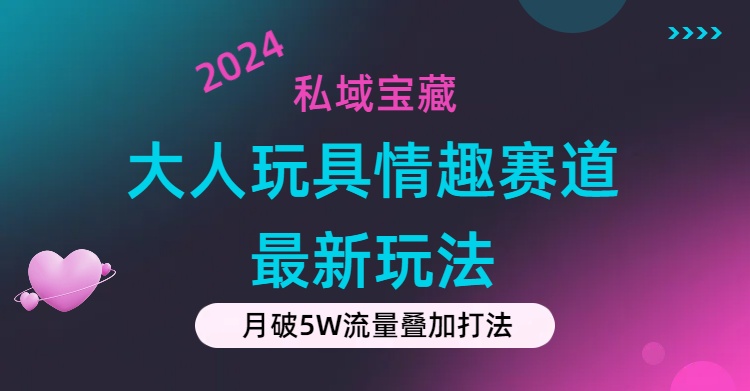 （11541期）私域宝藏：大人玩具情趣赛道合规新玩法，零投入，私域超高流量成单率高-云壹网创