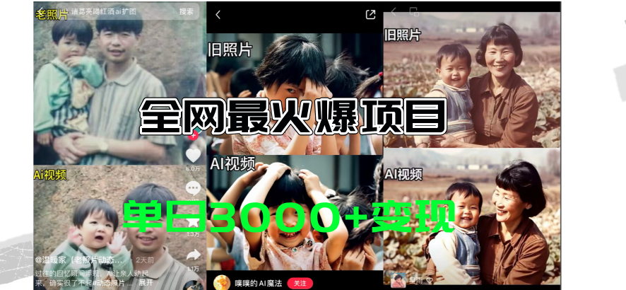 （11546期）全网爆火的AI让老照片动起来教程，蹭热点日赚3000+，内含免费工具一键…-云壹网创