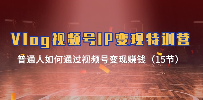 （11654期）Vlog 视频号IP变现特训营，普通人如何通过视频号变现赚钱（15节）-云壹网创