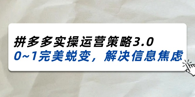 （11658期）2024_2025拼多多实操运营策略3.0，0~1完美蜕变，解决信息焦虑（38节）-云壹网创