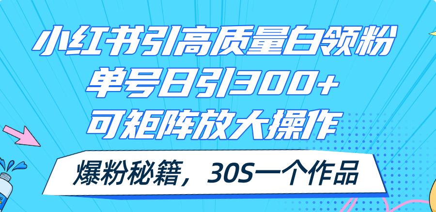 (11692期)小红书引高质量白领粉,单号日引300+,可放大操作,爆粉秘籍!30s一个作品-云壹网创