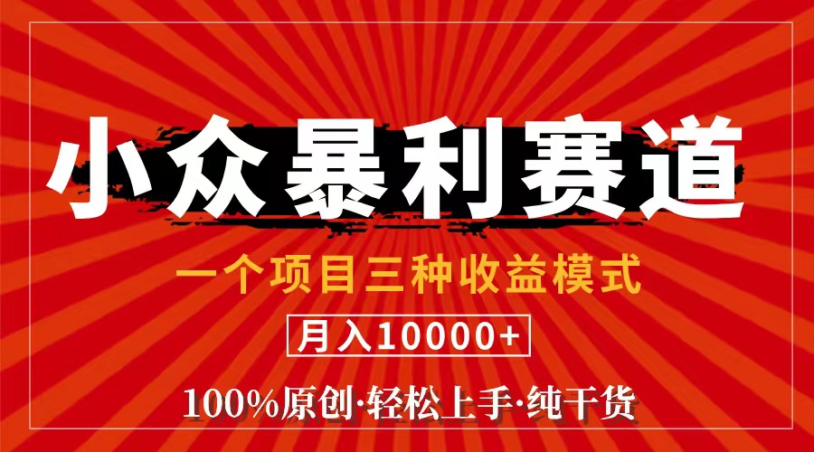 （11695期）视频号【中老年粉深信不疑】小众赛道 100%原创 手把手教学 新号3天收益…-云壹网创