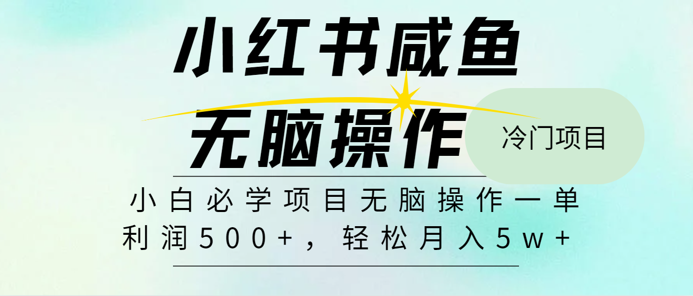 （11888期）2024最热门赚钱暴利手机操作项目，简单无脑操作，每单利润最少500-云壹网创