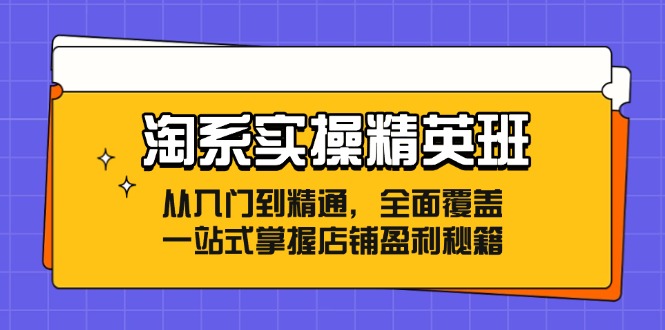 （12276期）淘系实操精英班：从入门到精通，全面覆盖，一站式掌握店铺盈利秘籍-云壹网创