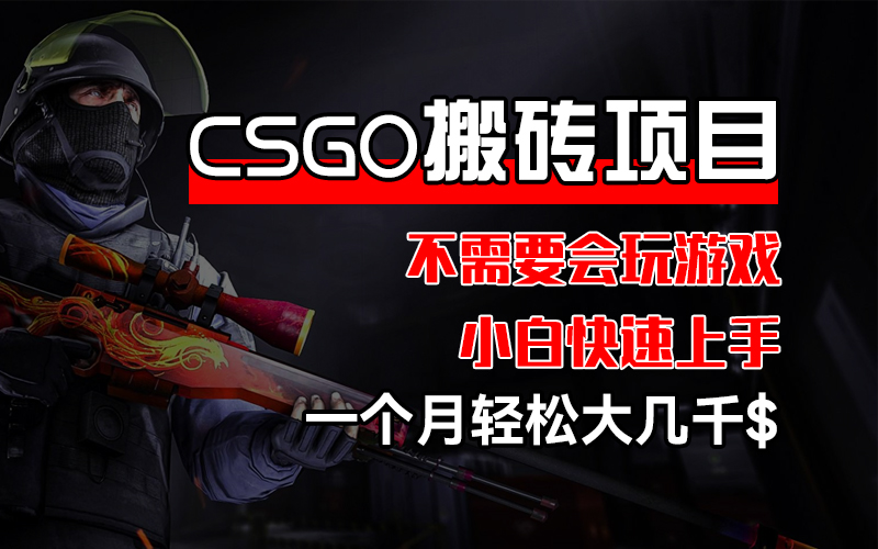 （12332期）CSGO 装备搬砖项目，操作简单，不需要会玩游戏，小白也能快速上手，一…-云壹网创