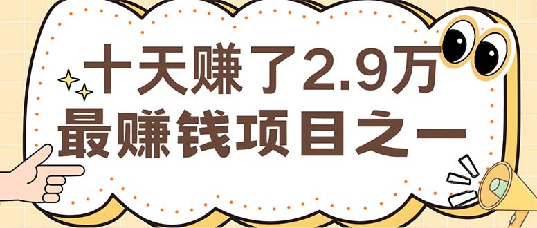 （12491期）闲鱼小红书赚钱项目之一，轻松月入6万+项目-云壹网创