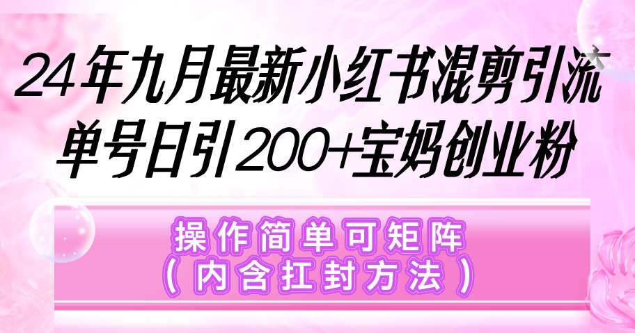 （12530期）小红书混剪引流，单号日引200+宝妈创业粉，操作简单可矩阵（内含扛封…-云壹网创