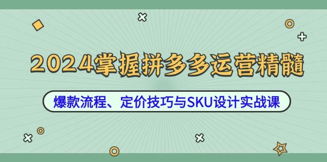 （12703期）2024掌握拼多多运营精髓：爆款流程、定价技巧与SKU设计实战课-云壹网创