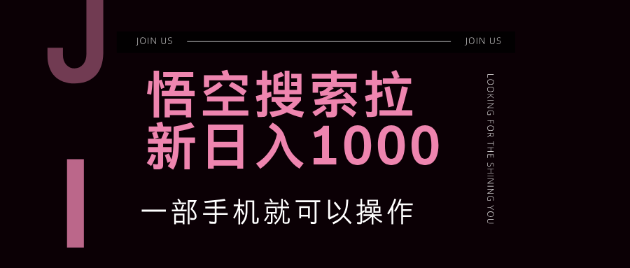 （12717期）悟空搜索类拉新 蓝海项目 一部手机就可以操作 教程非常详细-云壹网创