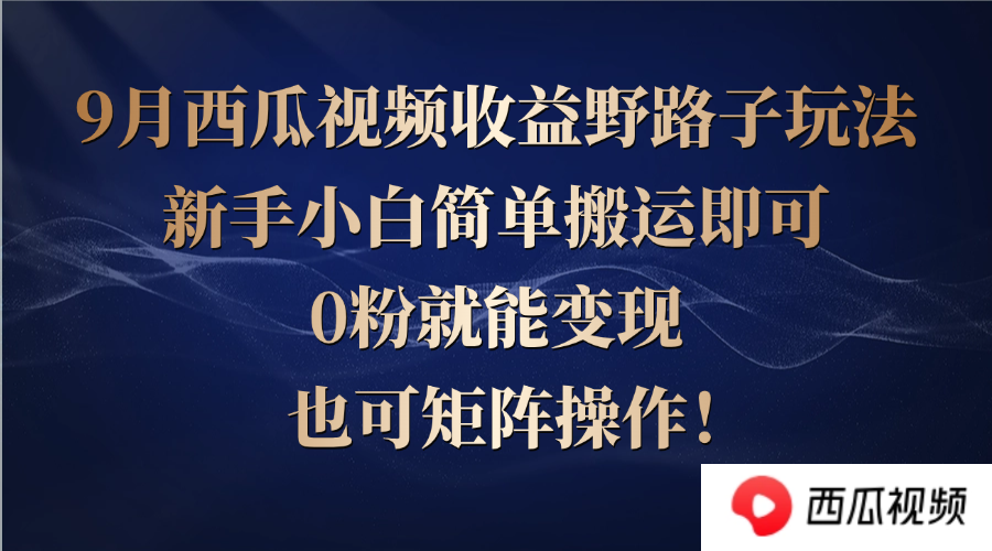 （12760期）西瓜视频收益野路子玩法，新手小白简单搬运即可，0粉就能变现，也可矩…-云壹网创
