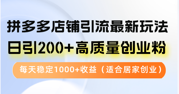 （12893期）拼多多店铺引流最新玩法，日引200+高质量创业粉，每天稳定1000+收益（…-云壹网创