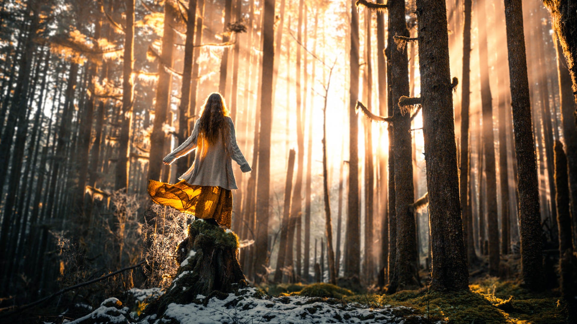 （4636期）Tiktok流量变现项目，只需3个步骤，快速开通一个赚钱的游戏类Tiktok账号-云壹网创