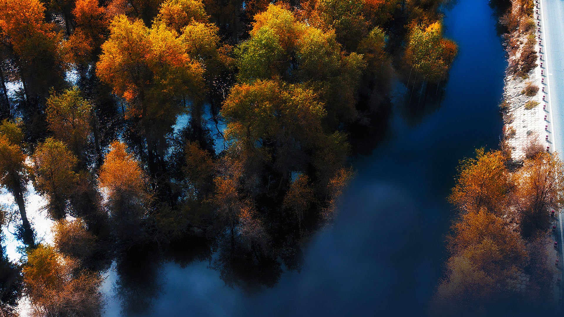 （7081期）2023短视频直播实操课，账号定位、带货账号搭建、选品等-云壹网创