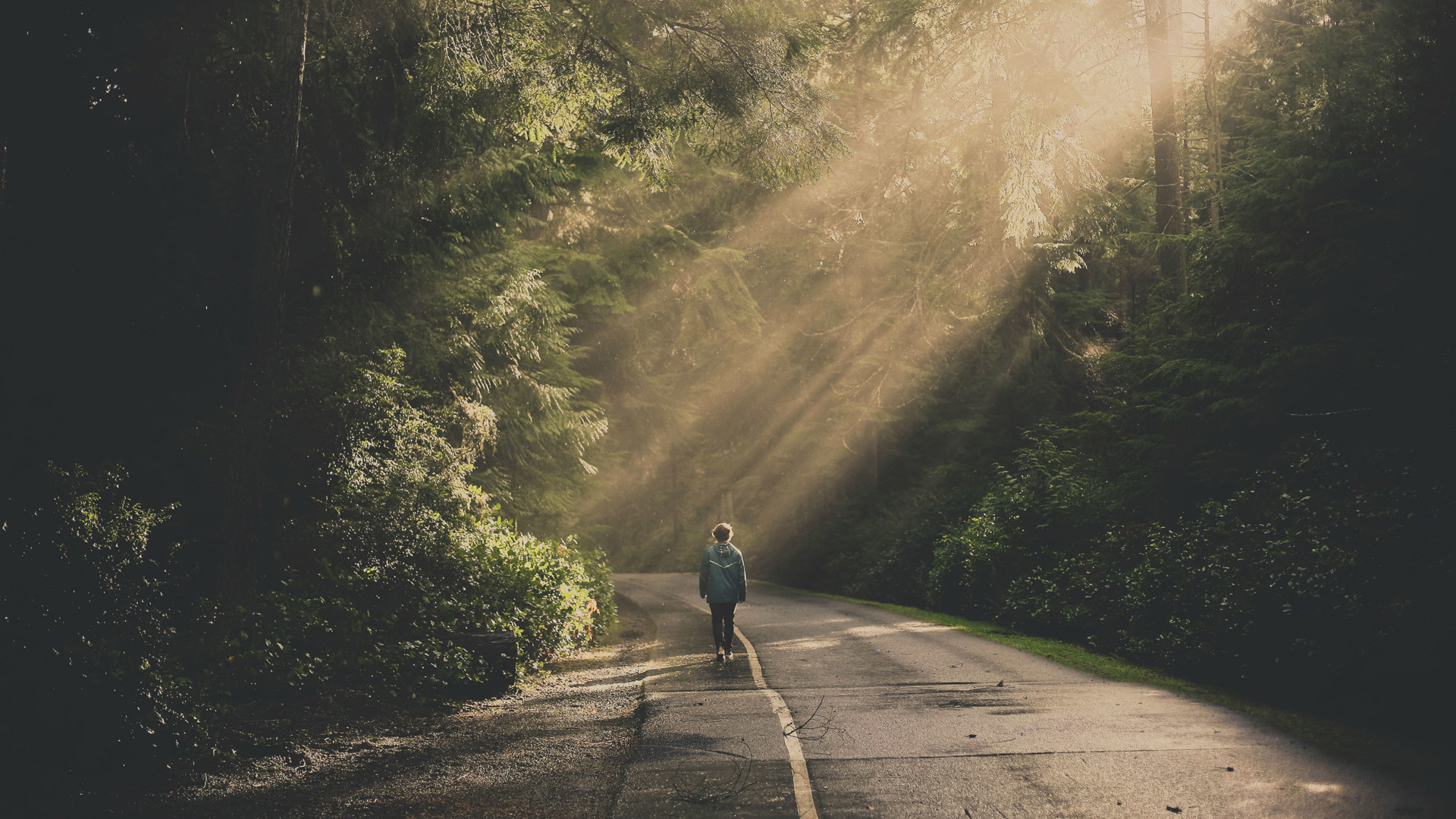 灰色项目揭秘——撸电商赔付，一单500+，操作简单，项目暴力丧良心，商家无奈闭店！-云壹网创
