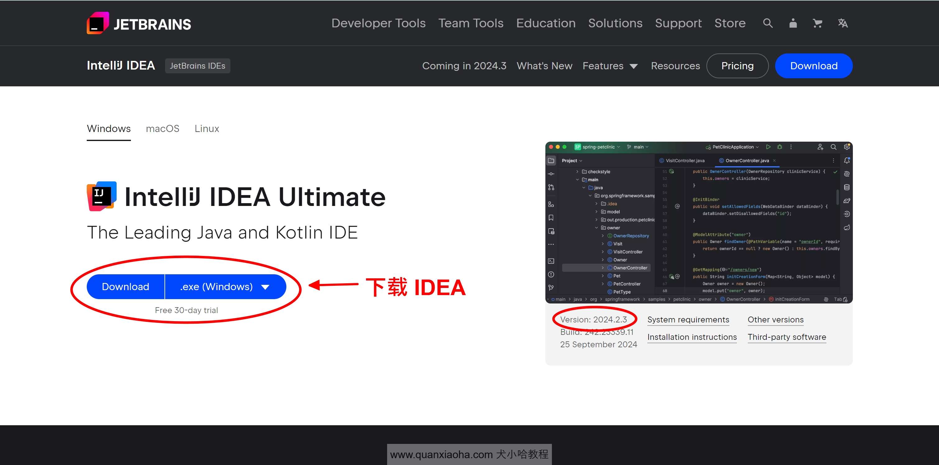 IDEA 2024.2.3 最新破解版安装教程（附激活码，至2099年~）插图3