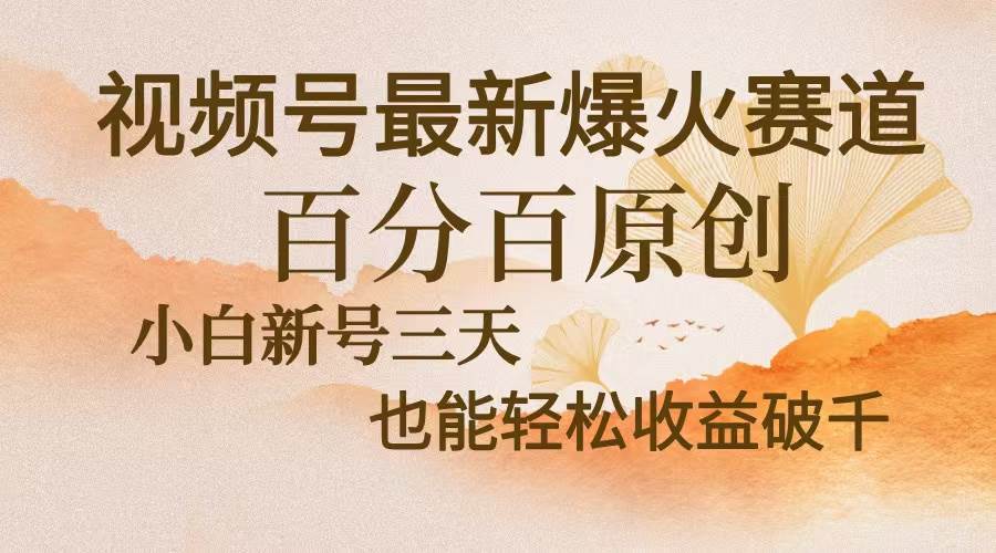 （13225期）视频号最新爆火赛道，中老年粉深信不疑，百分百原创，新号三天收益轻松…-云壹网创
