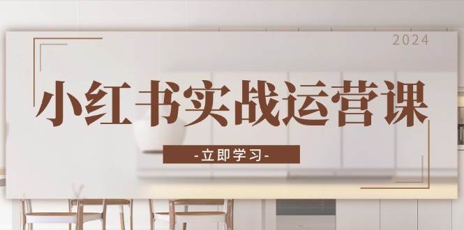 （13238期）小红书实战运营课：从开通店铺到直播话术，打造爆款笔记与高效直播-云壹网创