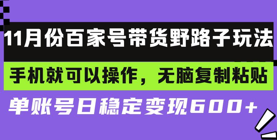 （13281期）百家号带货野路子玩法 手机就可以操作，无脑复制粘贴 单账号日稳定变现…-云壹网创