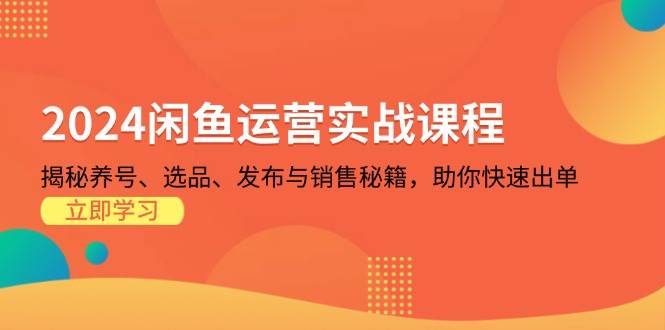 （13290期）2024闲鱼运营实战课程：揭秘养号、选品、发布与销售秘籍，助你快速出单-云壹网创