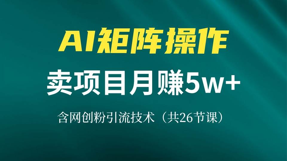 （13335期）网创IP打造课，借助AI卖项目月赚5万+，含引流技术（共26节课）-云壹网创