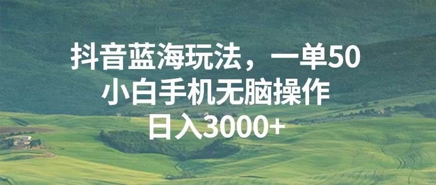 （13353期）抖音蓝海玩法，一单50，小白手机无脑操作，日入3000+-云壹网创