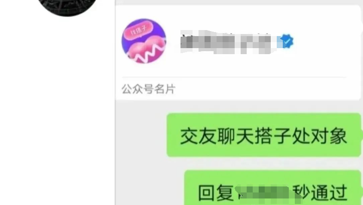搭子交友全新玩法，一天四位数的收益真的很爽插图7