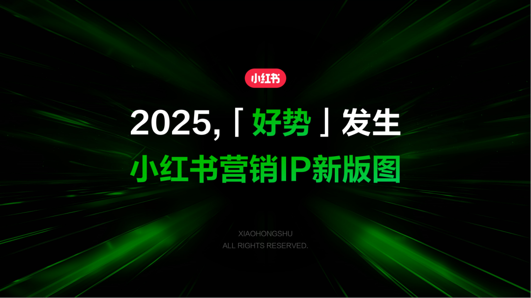 小红书怎么做？来看看，2025小红书平台营销通案.pdf插图