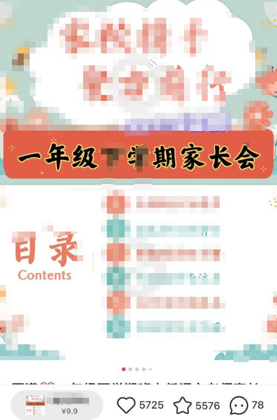 6份虚拟资源项目细分领域资料，卖了30来万插图6