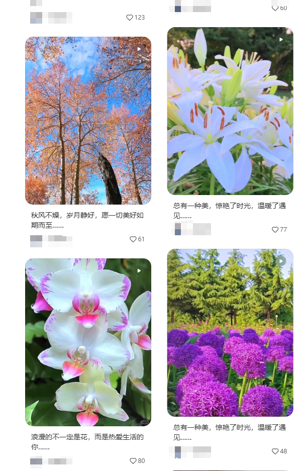 分享一个普通人通过小红书稳定接广变现的秘籍插图11