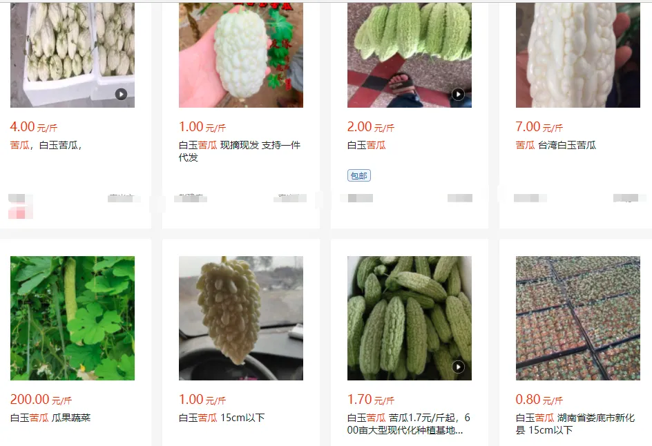 一亩地投一万，赚十万！这个项目可以这么玩~插图2