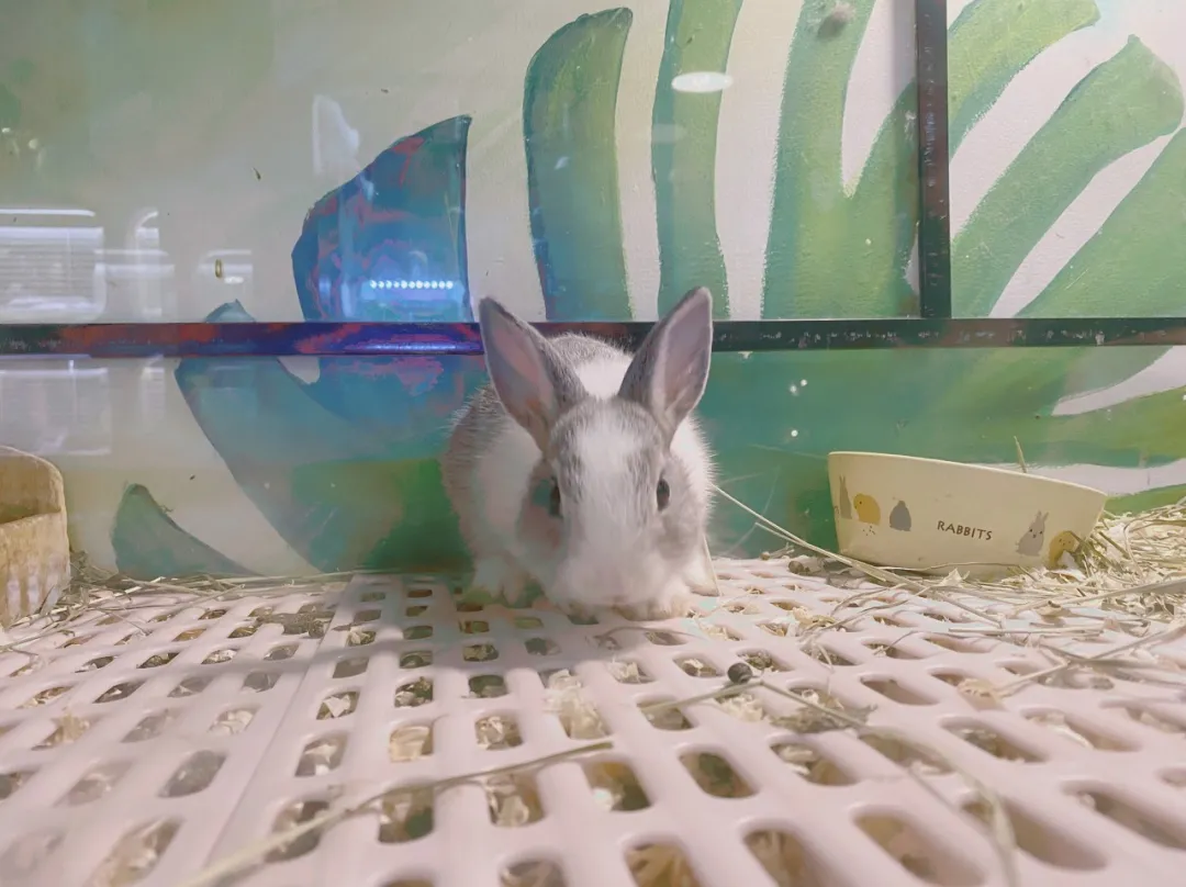 新兴行业一单入手1500元，5个月赚20万！插图2