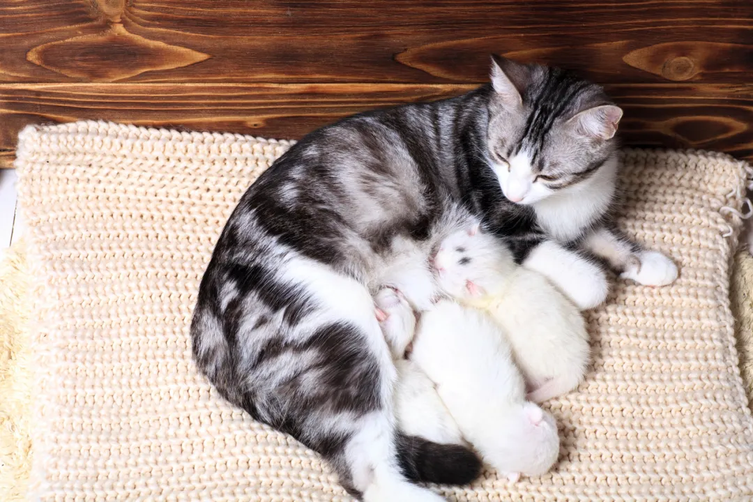 新兴行业一单入手1500元，5个月赚20万！插图3