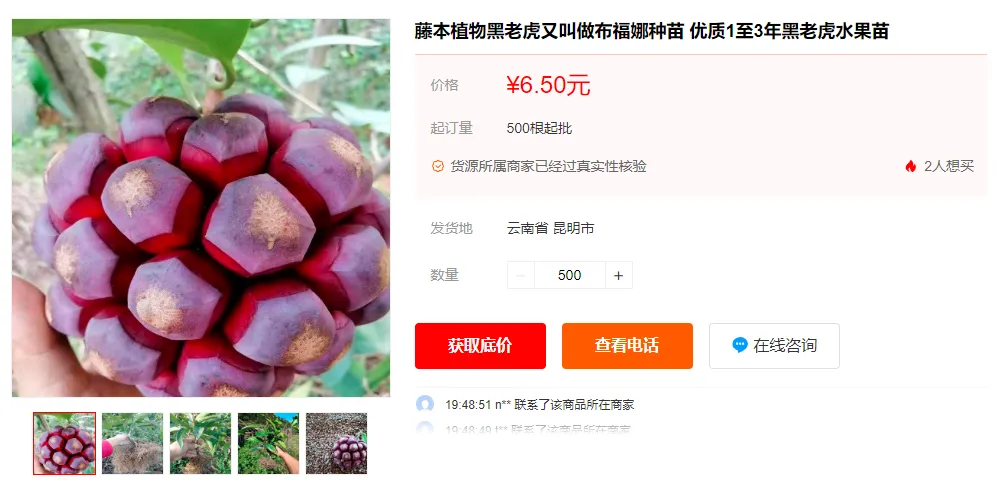 一亩投1万，净赚2万元，农村种植新项目！插图2