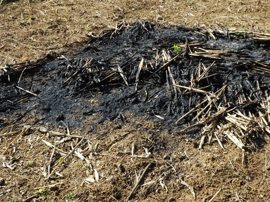 农村暴利项目，280元一吨的秸秆，一个月能赚三四十万！-云壹网创