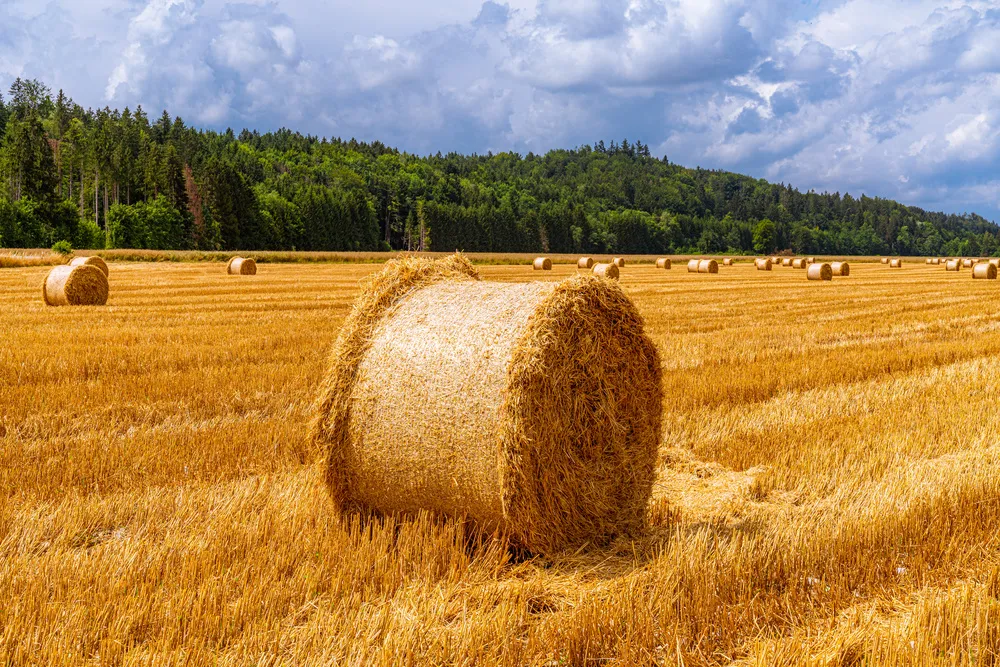 不上班，靠AI实现一人公司，普通人还有机会吗？-云壹网创