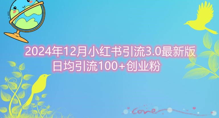 2024年12月小红书引流最新版，日均引流100 创业粉-云壹网创