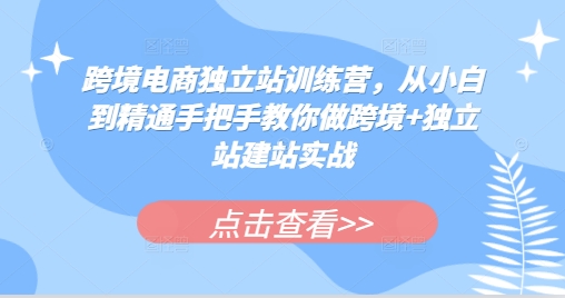 跨境电商独立站训练营，从小白到精通手把手教你做跨境 独立站建站实战-云壹网创