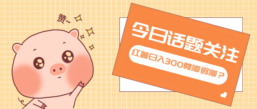 全新红薯浏览,打破常规 双端操作,每天运行6小时,让你获得工作以外的...-云壹网创