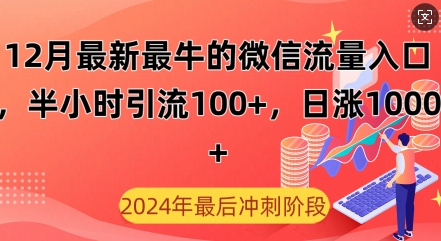 12月最新最牛的微信流量入口,半小时引流100 创业粉,日涨粉1000-云壹网创