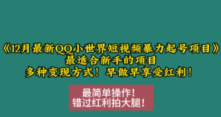 12月最新QQ小世界短视频暴力起号项目,最适合新手的项目,多种变现方式-云壹网创