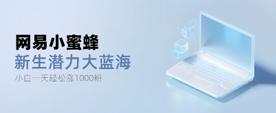 网易小蜜蜂，最新大蓝海项目，单日轻松日涨千粉-云壹网创